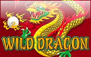 Wild Dragon